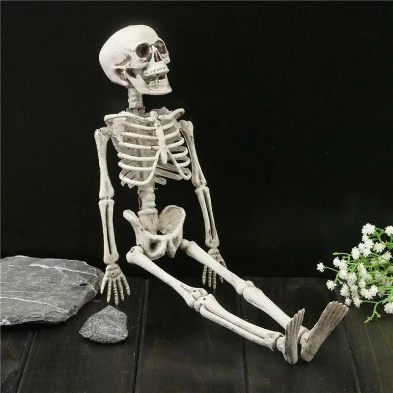 40cm Halloween Human Skeleton Oversized Poseable Full Life Size Party Decor Prop