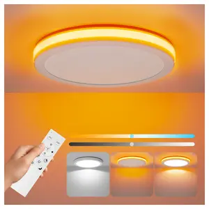 LED Round Flat Panel Light, 24W 2400LM Dimmable LED Ceiling Lights with Remote & APP Control 2700K-6000K , Edge-Lit Flush Mount Ceiling L0ight Fixture for Kitchen, Bedroom, Laundry and Closet Room,White
