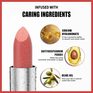 Long-Lasting Matte Lipstick Enriched With Hydrating Essences Smooths Lip Lines Prevents Fading For All Lips 3.5g