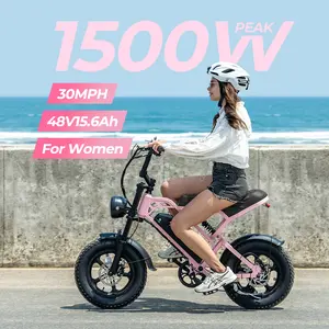 Electric Bike for Teens & Childs, 1500W Motor 48V15.6Ah Removable Battery, 30MPH Off-Road Electric Bicycle,16"Fat Tire Ebike for Kids, 7-Speed,Dual Hydraulic Brakes, Fits Riders 4'5"-5'4"