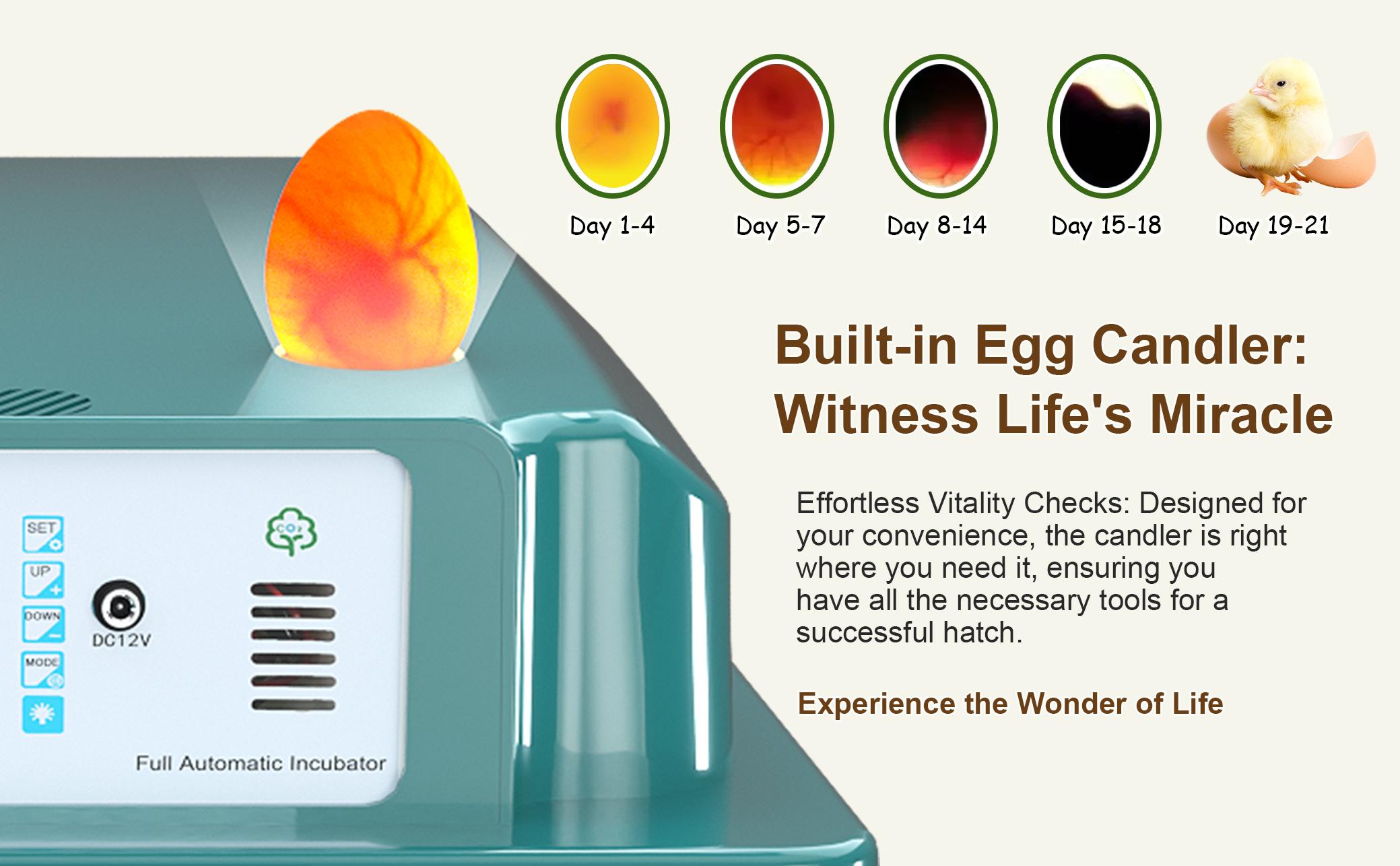 2026 Upgraded Automatic Egg Incubator Multiple Capacities, Intelligent Digital Hatcher with Auto Turning & Temp Humidity Control for Chicken Duck Quail