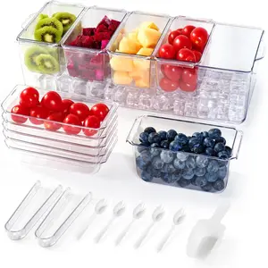 Ice-Chilled Condiment Tray Server Set, Large Kitchenware Utensils Organizer with 5 Removable Preserving Containers, Transparent Platter for Fruit, Salad