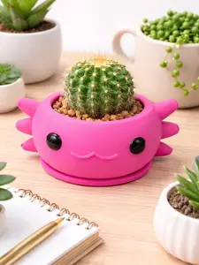 Axolotl Succulent Planter Pot 3D Printed Small Cactus Holder Desk Decor