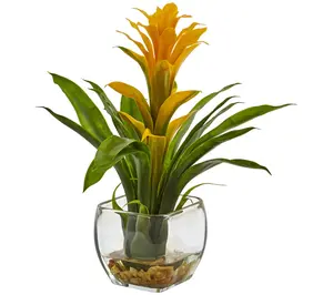 Bromeliad with Vase Arrangement Yellow
