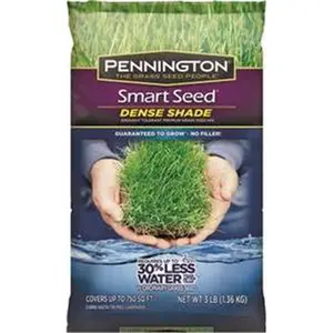212 MAIN Pennington 100526625 Smart Seed Dense 3-Shade Grass Seeds