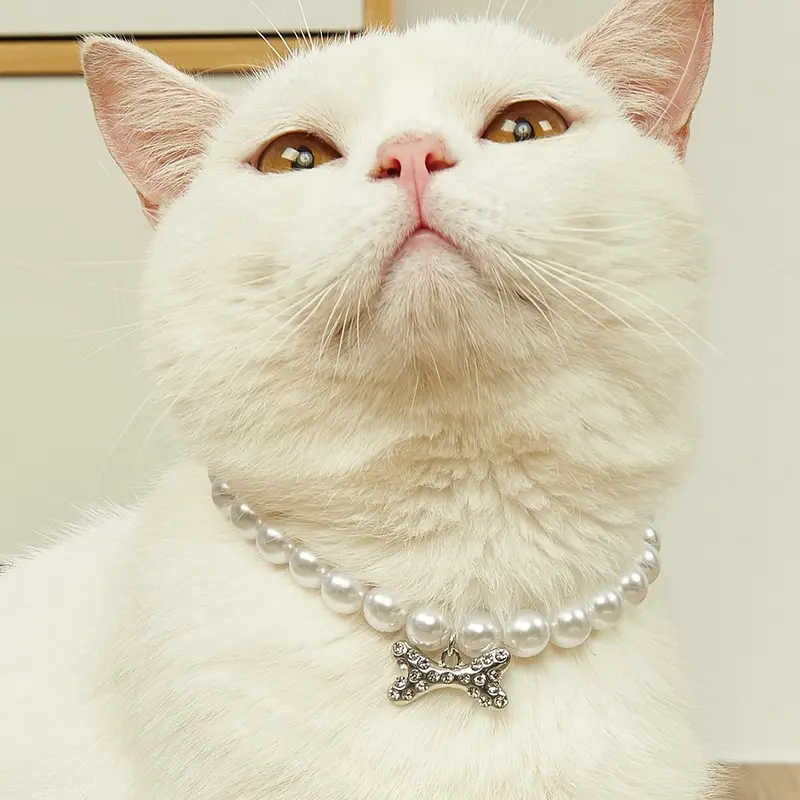 Faux Pearl Bone Pendant Pet Decoration Necklace, 1 Count Elegant Rhinestone Decor Cute Pet Necklace, Decorative Cat Collar for Small Dogs and Cats, Chihuahua Accessories
