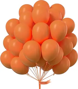 PartyWoo Burnt Orange Balloons 50pcs 12 Inch Terracotta Rust Fall Color Autumn Boho Balloon Arch Kit Garland for Wedding Birthday Baby Shower Thanksgiving Halloween Fall Party Decorations Orange-F53