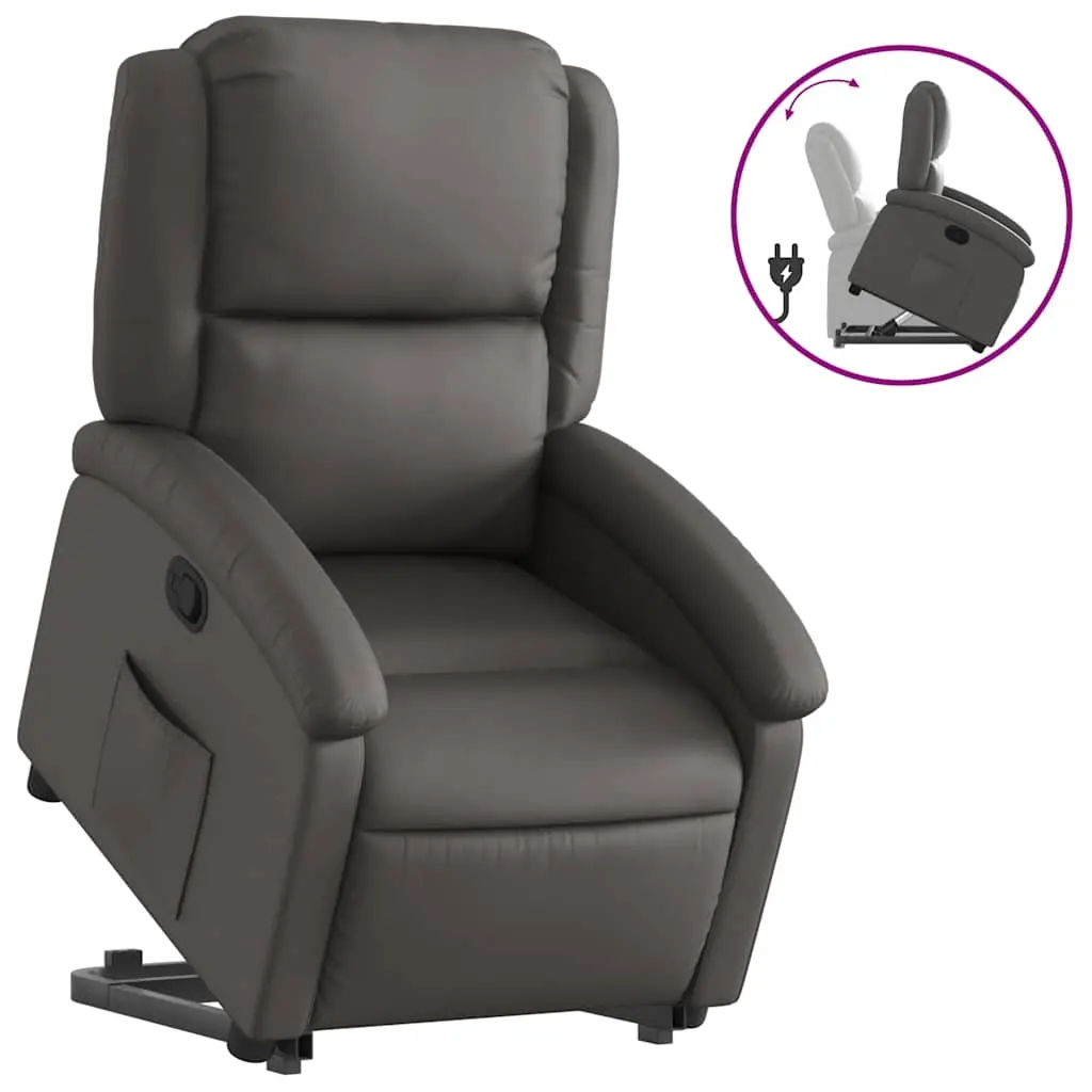 vidaXL Stand up Recliner Chair, Power Lift Reclining Armchair, Wingback Recliner for Home Theater, Modern Style, Gray Real Leather 3205939