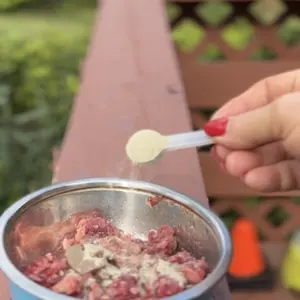 Breath Buddy Dog Dental Powder - Food Topper for Fresh Breath & Clean Teeth - Gentle Formula for Sensitive Stomachs - Bacon Flavor Tartar Plaque Remover - Natural Oral Care for Dogs and Cats