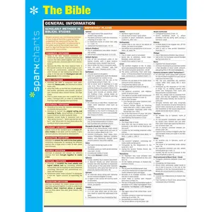 The Bible SparkCharts