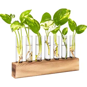 AXYEW  Terrarium with Wooden Stand,  Propagation Tubes, 7 Test Tubes Glass Planter for Hydroponic  Cuttings Home Office Decor
