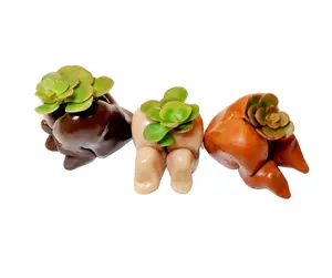 Gar-Zen Botanical Designs Mini Butt Pots, Plants included, Set of 3