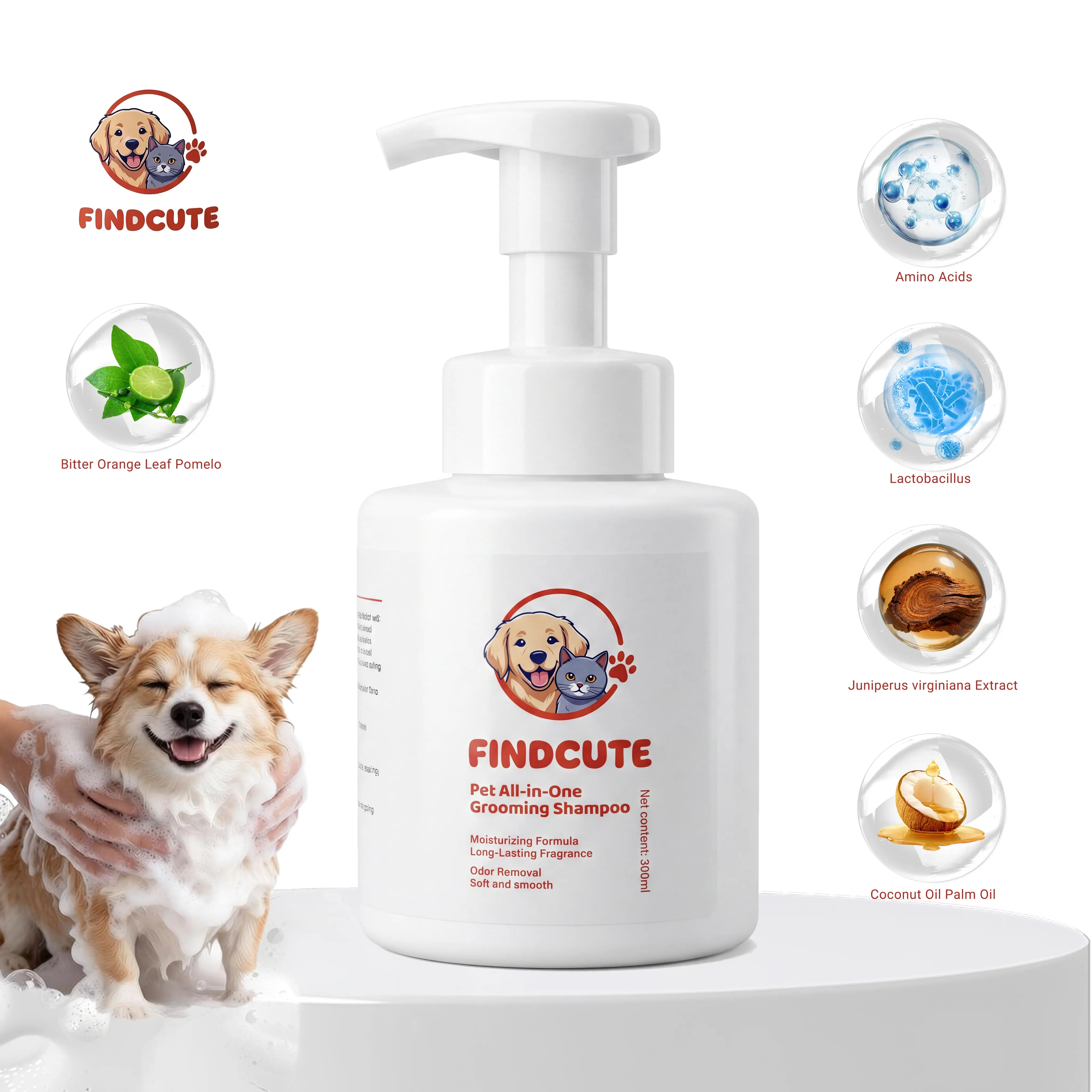 FINDCUTE 10oz All-in-1 Grooming Pet Shampoo - Pet Grooming Products for Dogs & Cats, Odor Removal, Dirt Cleaning, Itch Relief, Tangled Hair Softening, Moisturizes Coat, Long-Lasting Fresh Scent