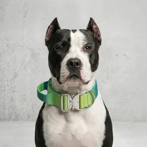 Gradient Tactical Dog Collar Heavy Duty Adjustable Pet Collar with Control Handle and Metal Buckle for Medium Large Dogs