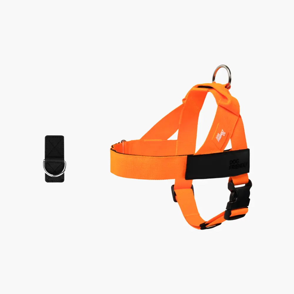 Hi-Vis Orange