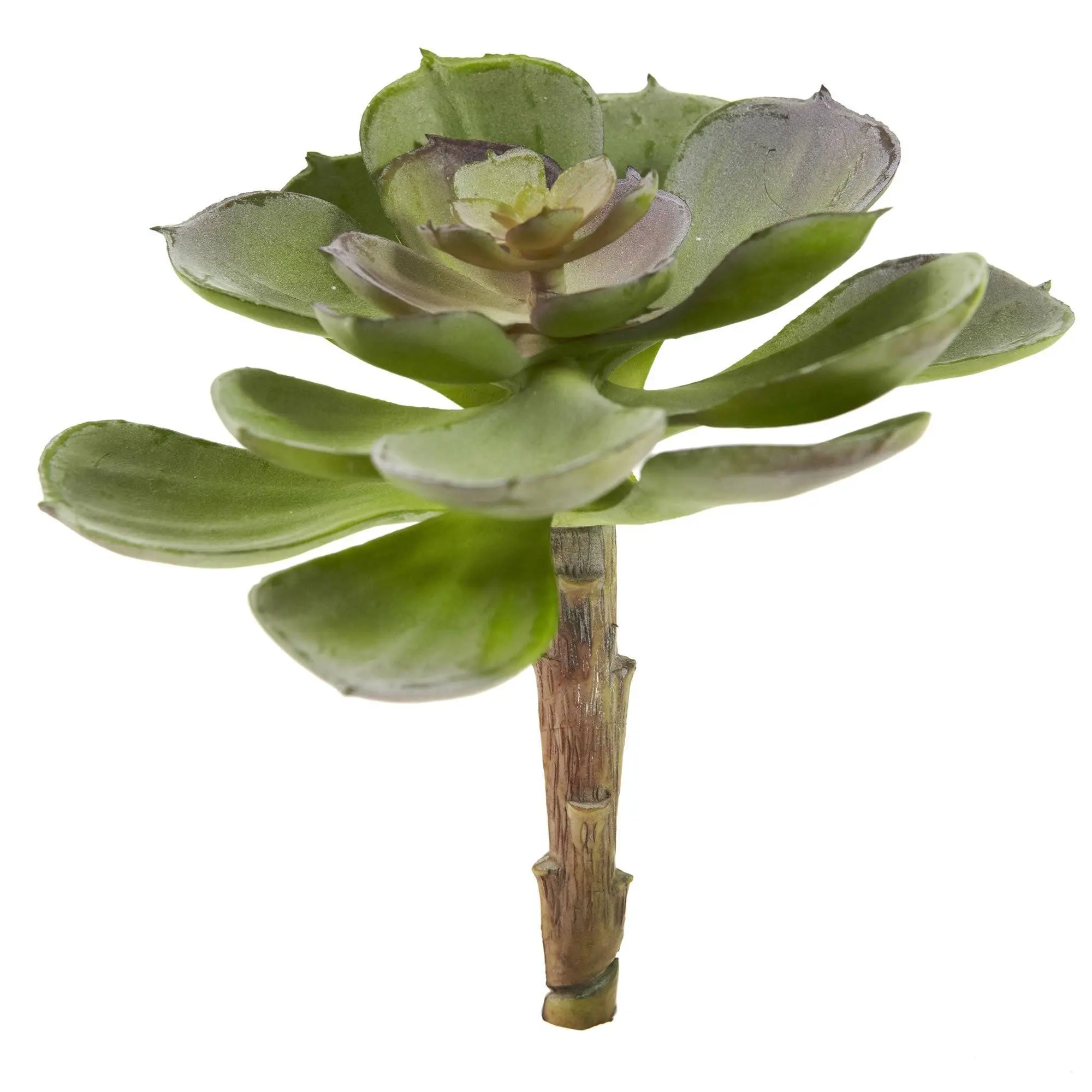 6" Tall Synthetic Echeveria Succulent Plants (Set of 12) - Layered Leaf Decorative Accent, Ideal Gift for Home Supplies