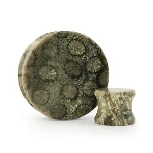 Blue Fossilized Coral Stone Plugs
