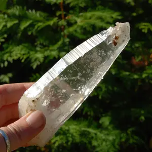 5.7" Colombian Lemurian Seed Crystal, Self Healed Tabby Laser, Limonite Optical Quartz, Boyaca, Colombia