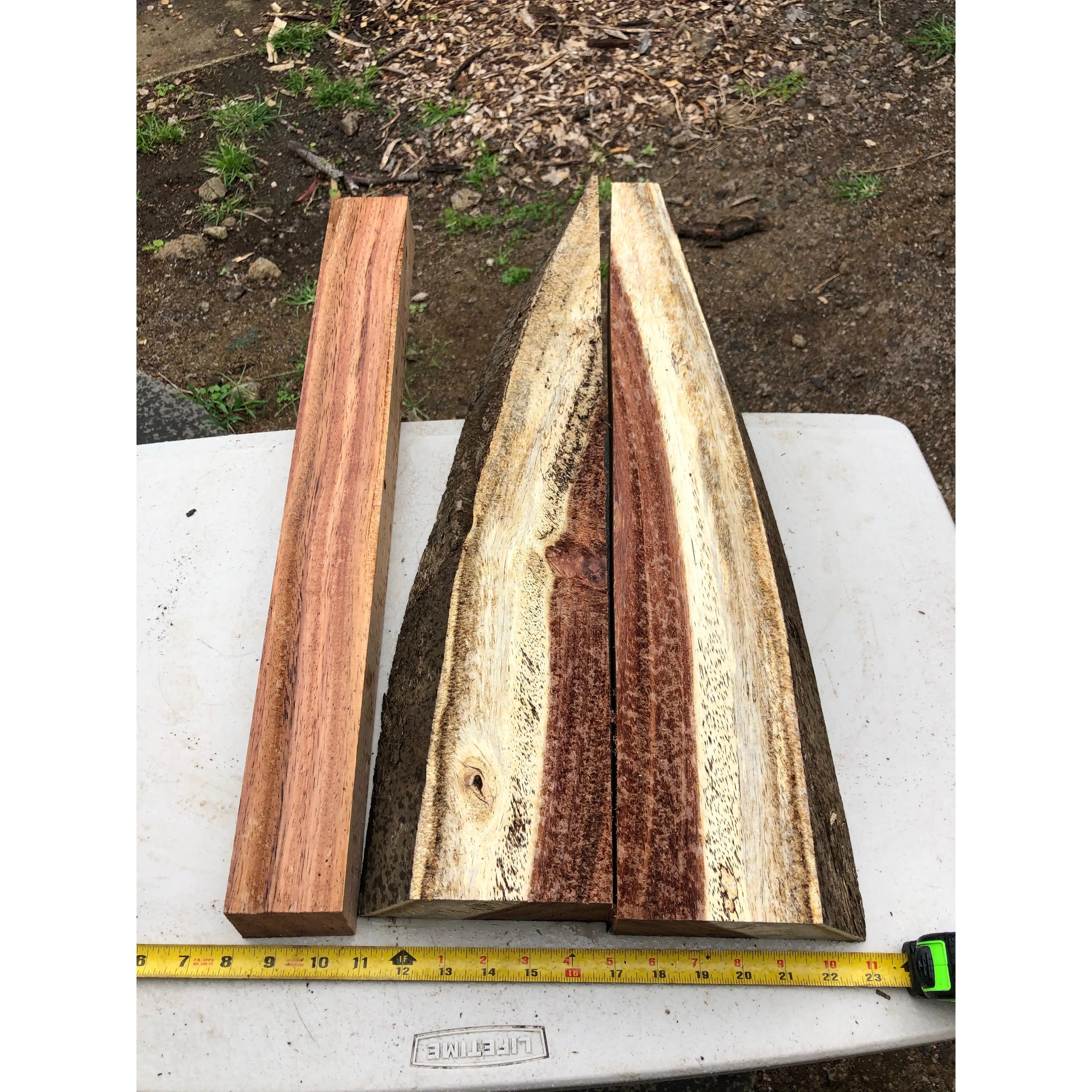 Live edge curly monkeypod turning blanks 3@24”x7/4-6”x1-2.5”