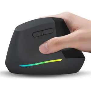, Vertical ,  Ergo , Quiet Click, 5 Level Adjustable DPI(800/1200/2400/2400/4000), Rechargeable 2.4G Mice , PC, , Laptop, Black