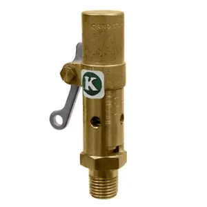 SVI INTERNATIONAL AS-2205-68 Safety Valve 1/4" 75 psi Ref# M3144