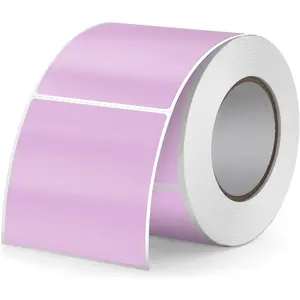 2x2 Inch Vinyl Thermal Labels  Rectangle  Direct Printer Stickers Color Self-Adhesive File Folder Label for Name Logo DIY Barcodes Office Address 500 count