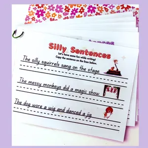 Homeschooled Homies Reusable Sentence Writing Practice Activity Pages - Engaging Writing Practice for Homeschooled Students