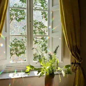 1 roll iridescent window tint film with floral and bird pattern, decorative privacy film for glass. Static cling, self-adhesive, removable and easy to apply. Ideal for windows and doors, enhancing home aesthetics and room décor. Flower