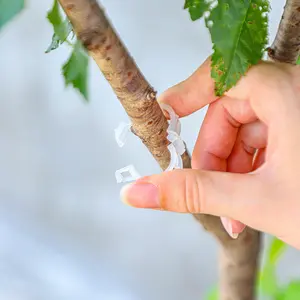 100 Pcs Plastic Trellis Plant Support Clips for Support, Grape and Tomato Vine, Vegetables Plants, Garden Clips to Grow Upright Makes Plants Healthier