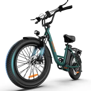 1000W Peak Motor Electric Bike for Adults, 48V 13Ah Removable Battery,80 Miles Max,28Mph Speed，20" Fat Tire Electric Bicycle with Colorful Display, All-Terrain E-Bike for Adults and Teens