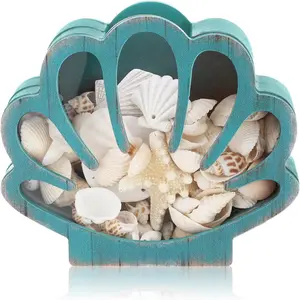 Seashell Holder Seashell Display Box Wooden Small Starfish Shell Display Case with Acrylic Clear Window Shark Tooth Collection Box for Shells Sea Rock Home Decor Present Green Shell