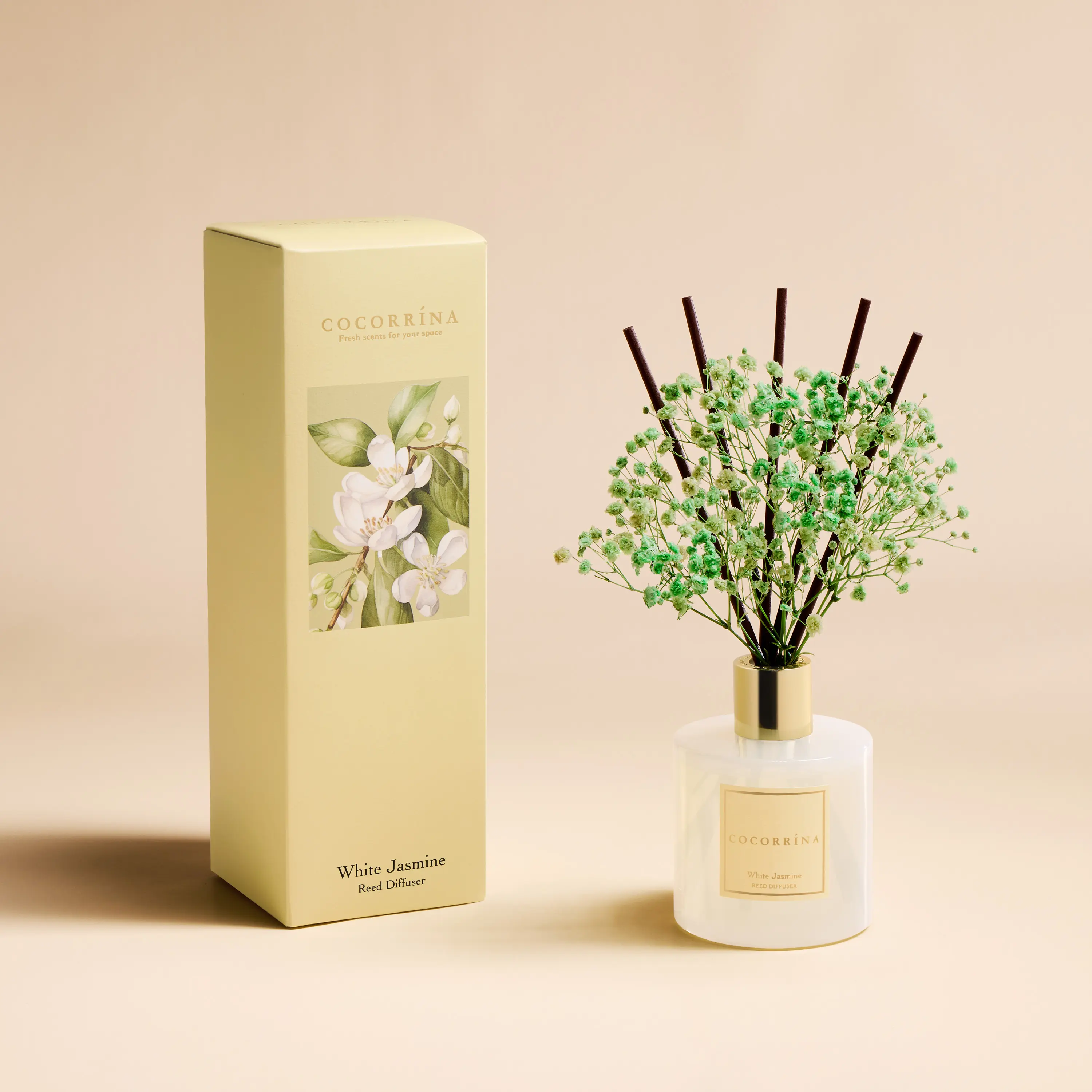 COCORRÍNA Reed Diffuser - White Jasmine 6.7 Fl.oz Reed Diffuser Set with Sticks & Preserved Baby's Breath, Reed Diffuser for Home Bathroom Shelf Decor