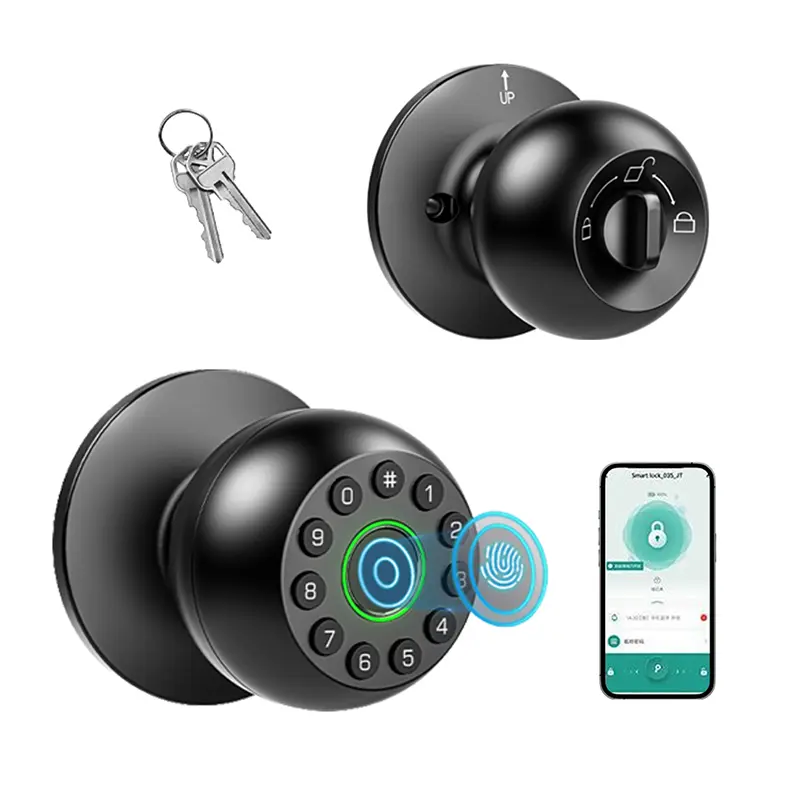 Black Spherical Smart Door Knob Lock - Biometric Fingerprint, Keypad Keyless Entry, APP Remote Control, Rechargeable Door Hardware for Bedroom Decor, Apartment, Office