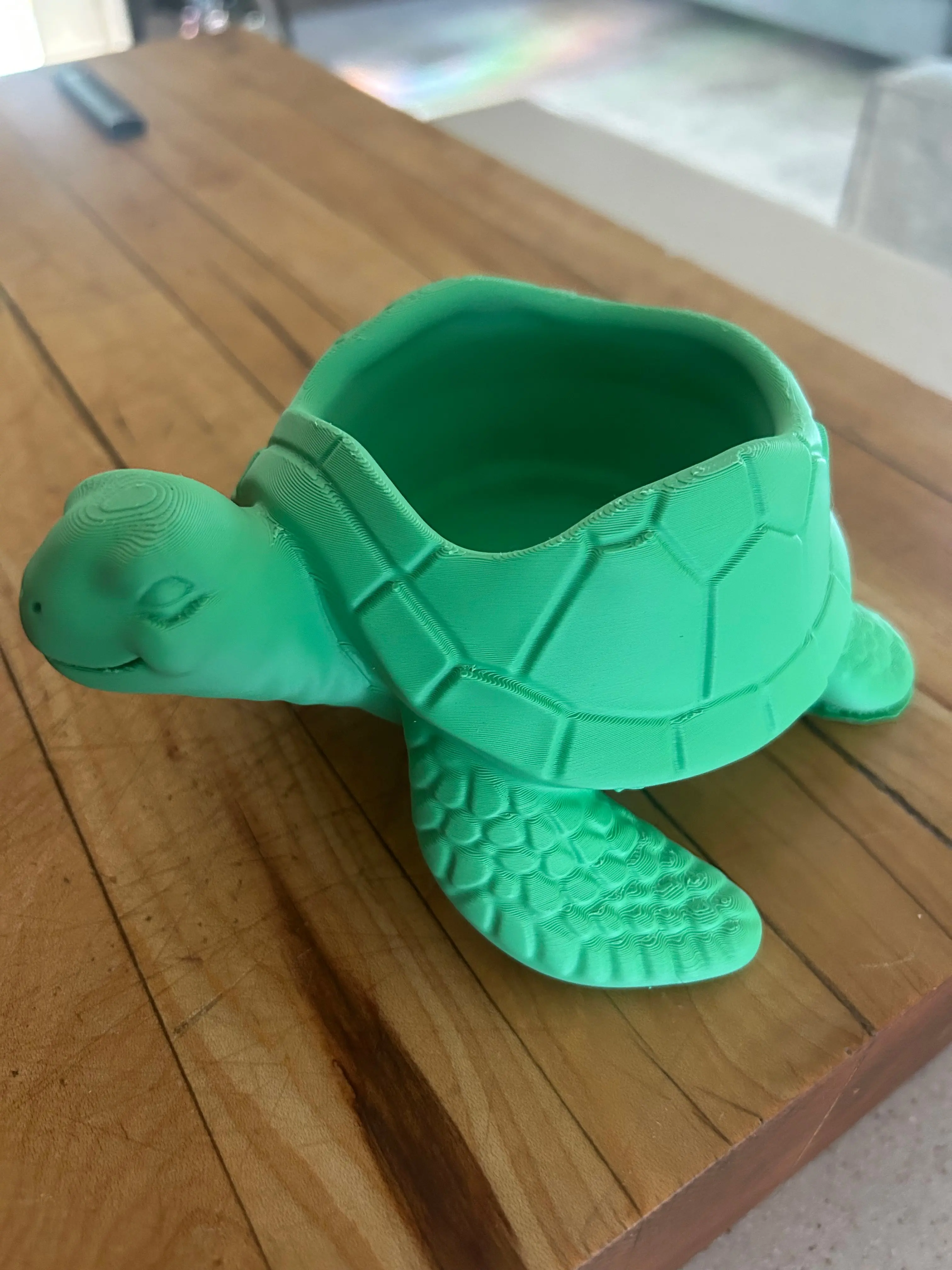 Sea Turtle Bowl