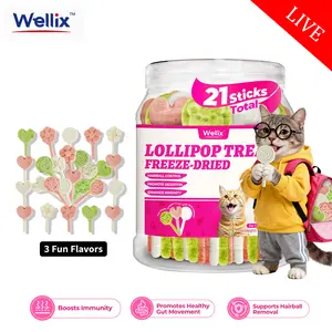 【Live Big Deal】WELLIX Freeze-Dried Lollipops (21pcs) - 3 Fun Flavors
