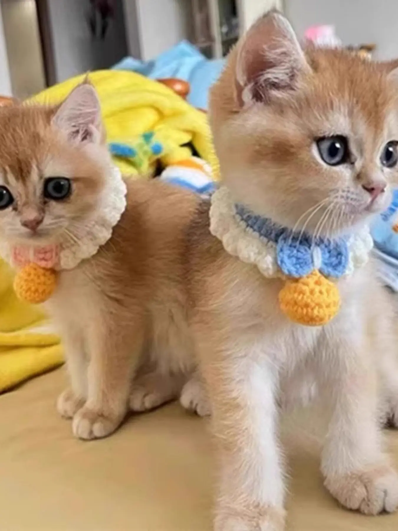 Crochet Pet Collars with Bell