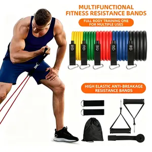 11-Piece Resistance Band Set – Exercise Tubes for Yoga, Abs, Full Body Workout, Fitness & Home Gym, Heavy Duty Rubber Bands