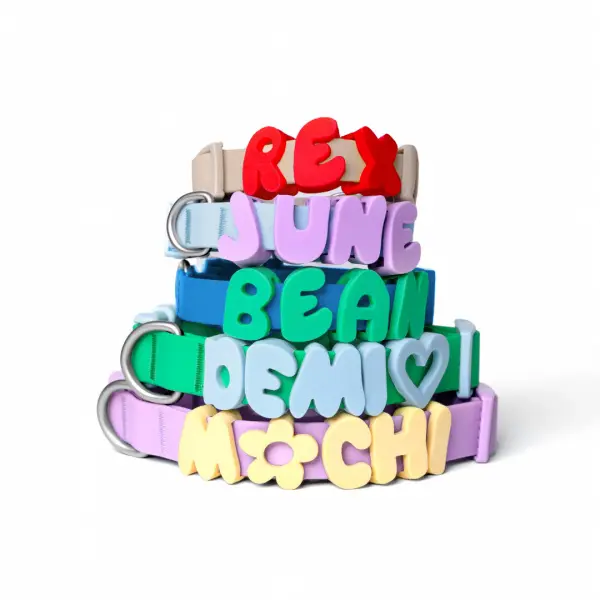 Personalized name collar with English letters, leash with letter decoration, silicone letter dog pendant