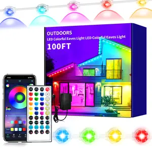 IP67 Waterproof RGB Outdoor Eaves Lights - App & Remote Control, Music Sync LED Lights for Christmas, Garden, Home Decor