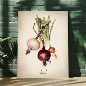 Vegetable Wall Art, Onion Fine Art, Kitchen Home Decor, Premium Matte Paper Poster, Unframed