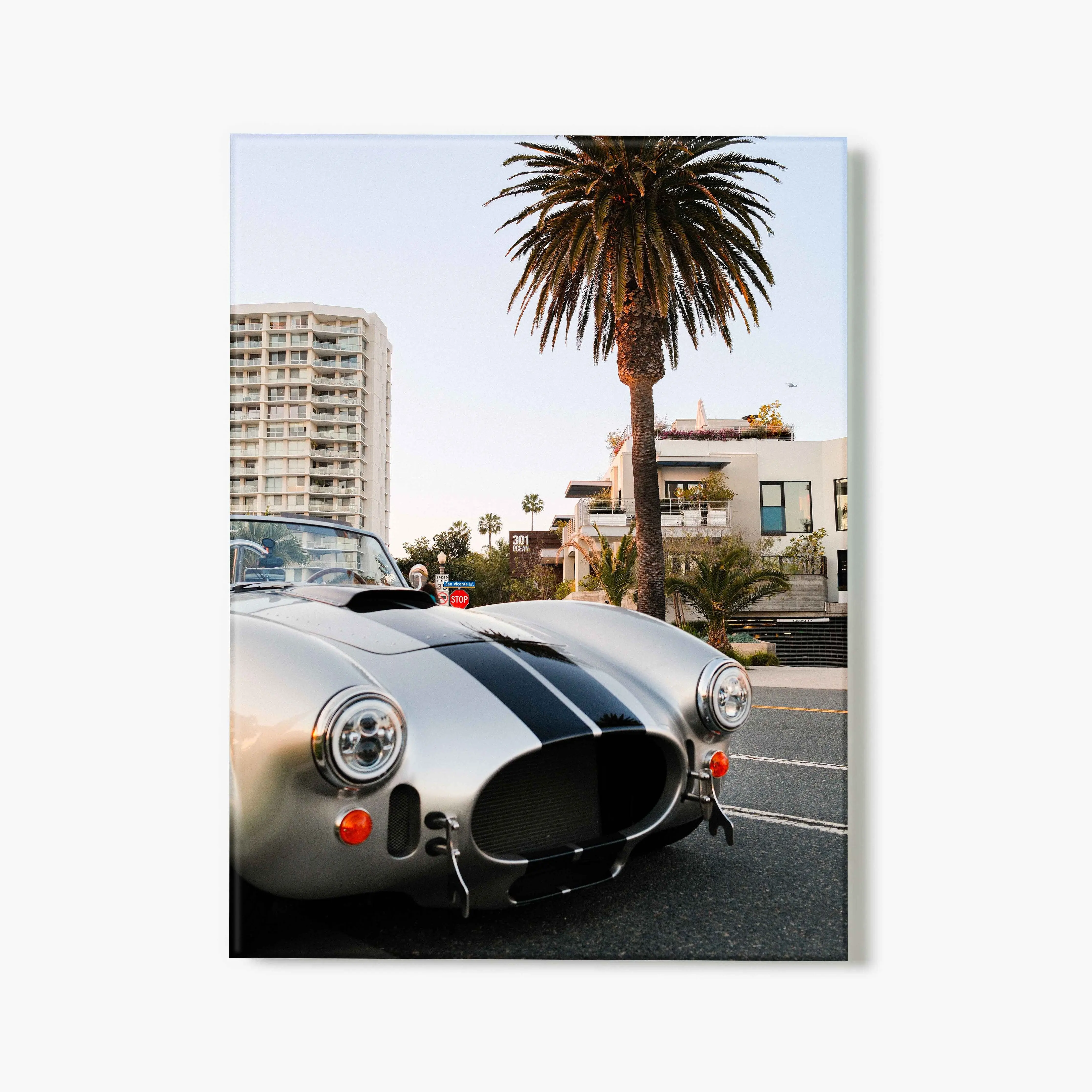 Cobra Sunset - Glass Print
