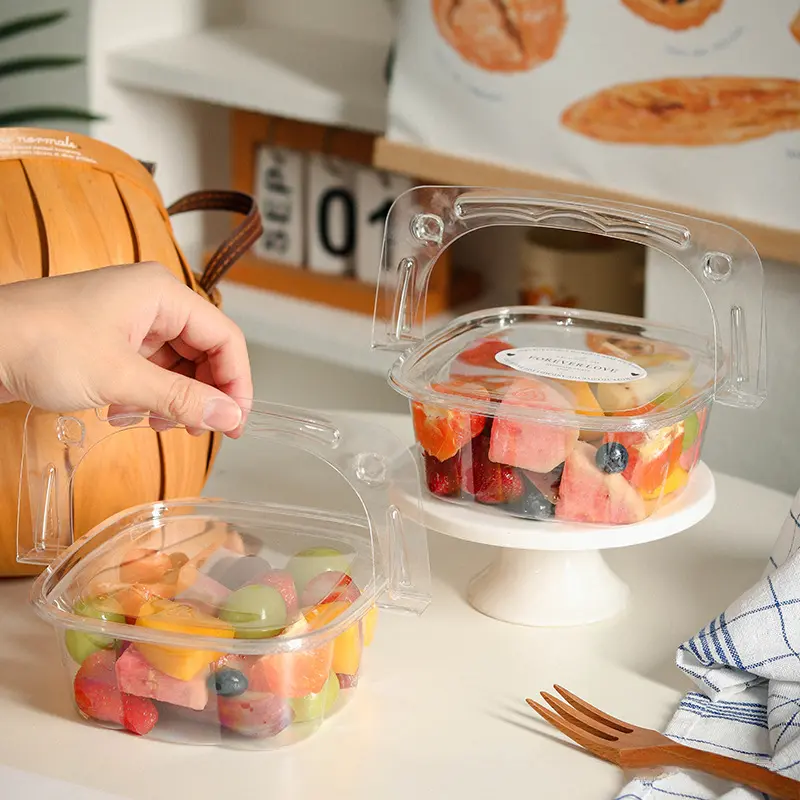 50 Pack 750ml Clear Disposable Fruit Containers with Handle, Portable Takeout Food Boxes for Fruit, Dessert, Cake, Picnic & Camping