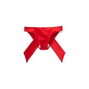 Gynger Bikini Dark Red Panty