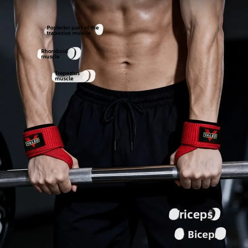 2 Counts Wrist Support Bands, Grip Strength Training, Gym Workout Accessories, Outdoor Sports Equipment, Ideal for Weightlifting & Pull-Ups, Fitness Bands, Wristband, Exercise