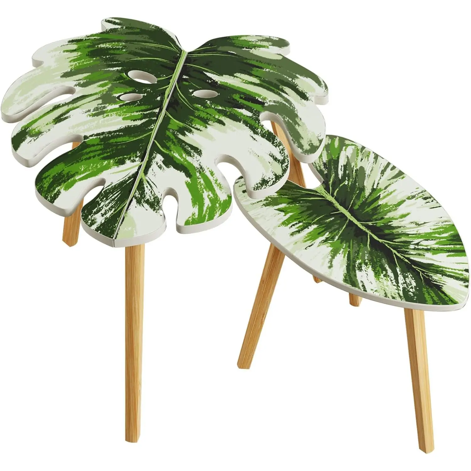 White Monstera