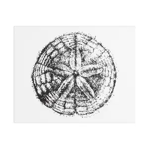 Sand Dollar Print Canvas Stretched | Beach Coastal Wall Art