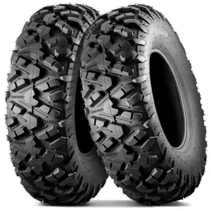 MaxAuto Set of 2 AT25X8-12 ATV/UTV Tires,25x8x12 Mud Sand Tires,6Ply Tubeless