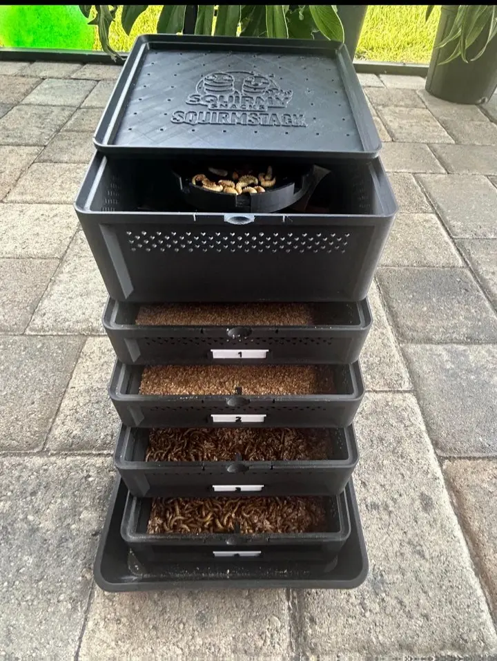 SquirmStack MAX 5-Tier Mealworm Farm Perforated Floor Central Wheat Bran Cylinder Pupae Sanctuary Lid Durable Ventilated Trays Sifting Inserts Compact Easy Maintenance