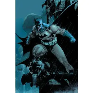 Batman: Hush (New Edition) -- Jeph Loeb - Hardcover