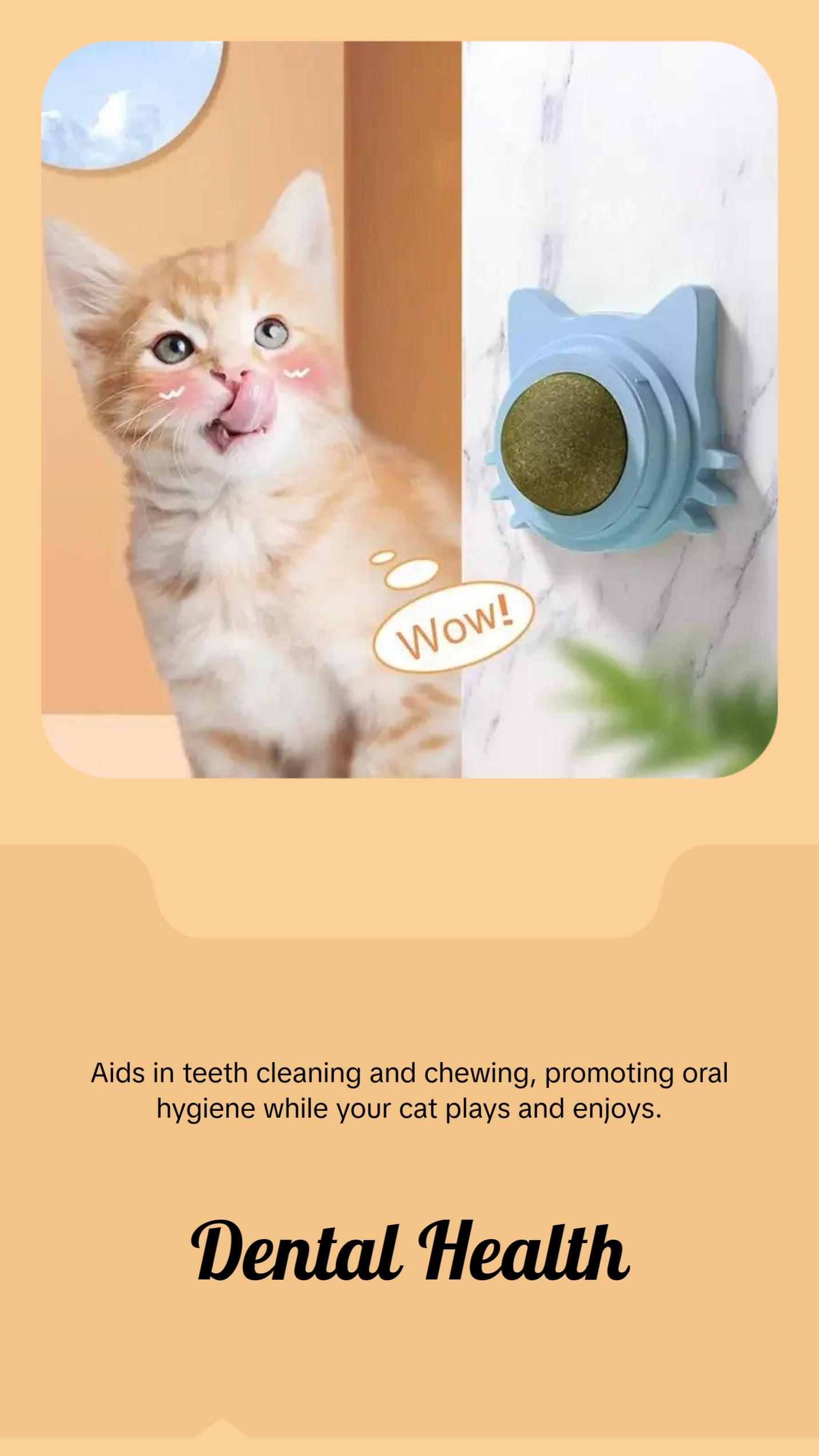 Catnip Balls Funny Lickable Cat Snack